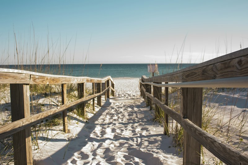 Wooden fence path leading to the ocean